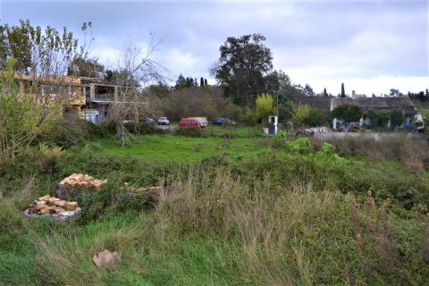 4200m² Land in Corfu, Greece No. 56830 6