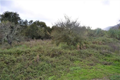 4200m² Land in Corfu, Greece No. 56830 8