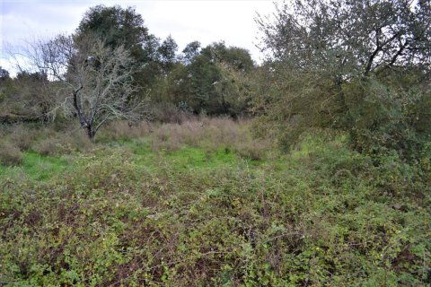 4200m² Land in Corfu, Greece No. 56830 7