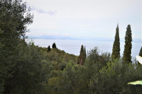 10000m² Land en Corfu, Greece No. 56828 1