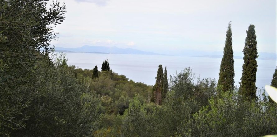 10000m² Land en Corfu, Greece No. 56828