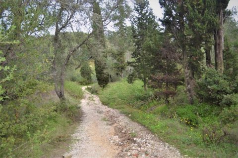 10000m² Land in Corfu, Greece No. 56828 5