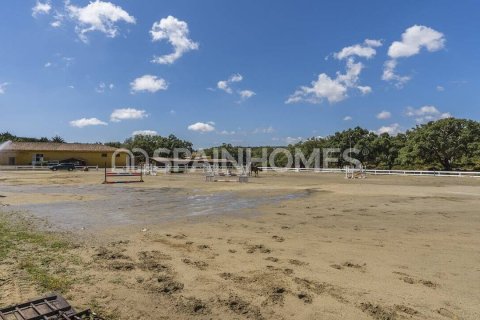 3 chambres Penthouse à San Roque, Spain No. 27736 30