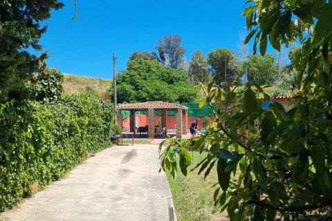 Дом с 3 спальнями в Кортес (Сан-Педро-Де-Алькантара), Испания №92338 10