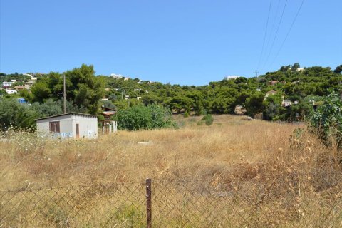 7000m² Land en Kalyvia Thorikou, Greece No. 60236 6