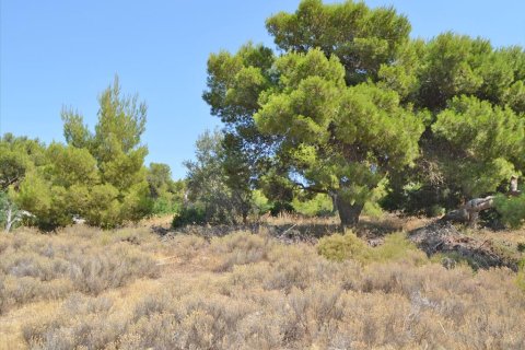 7000m² Land in Kalyvia Thorikou, Greece No. 60236 3