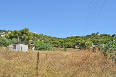 7000m² Land in Kalyvia Thorikou, Greece No. 60236 5