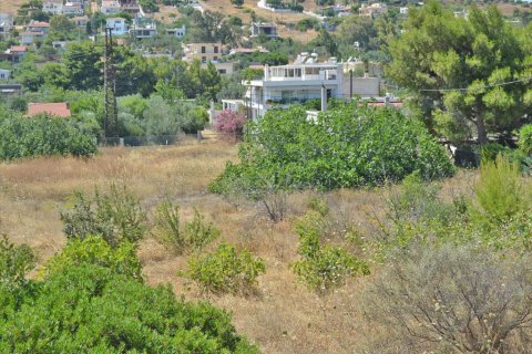 7000m² Land in Kalyvia Thorikou, Greece No. 60236 1