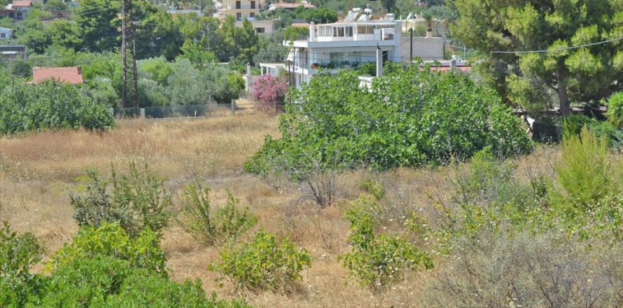 7000m² Land en Kalyvia Thorikou, Greece No. 60236