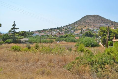 7000m² Land à Kalyvia Thorikou, Greece No. 60236 4