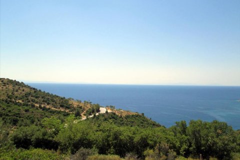 12912m² Land à Thasos, Greece No. 60233 2