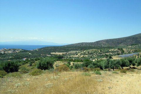 12912m² Land à Thasos, Greece No. 60233 9