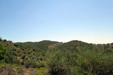 12912m² Land à Thasos, Greece No. 60233 4