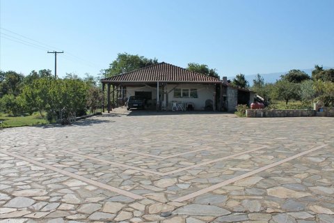 4 bedrooms Villa in Litochoro, Greece No. 59004 20