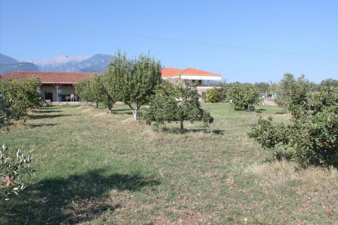 4 bedrooms Villa in Litochoro, Greece No. 59004 23