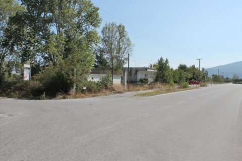 470m² Affaires à Pieria, Greece No. 59003 2