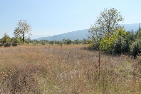 470m² Business in Pieria, Greece No. 59003 4