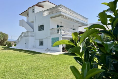 1 bedroom Villa in Chalkidiki, Greece No. 61809 4