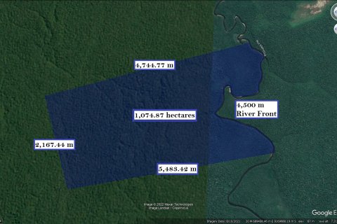 1074000m² Land à Amazon, USA No. 62405 6