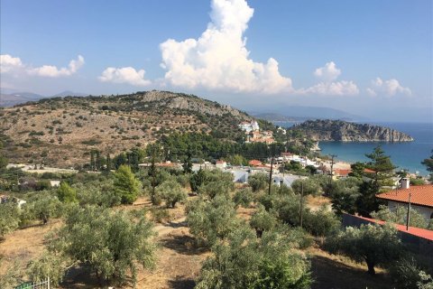 4751m² Land en Argolis, Greece No. 56766 6