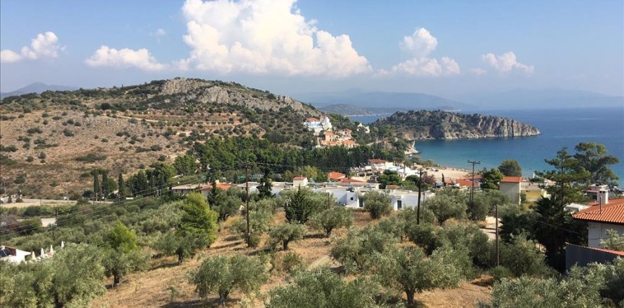 4751m² Land à Argolis, Greece No. 56766