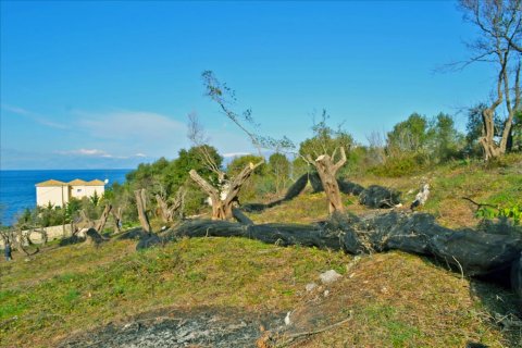 4160m² Land in Corfu, Greece No. 58934 3