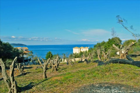 4160m² Land à Corfu, Greece No. 58934 1