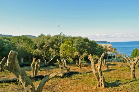 4160m² Land en Corfu, Greece No. 58934 2