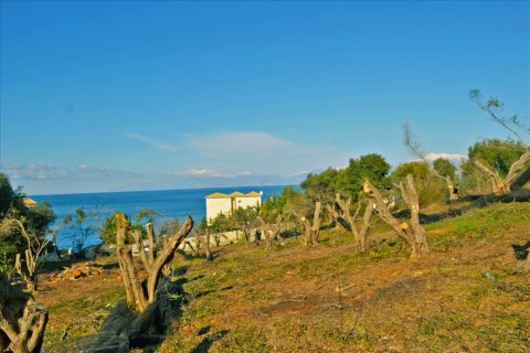 4160m² Land in Corfu, Greece No. 58934 10