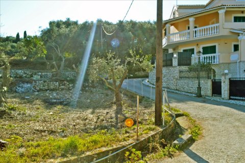 4160m² Land en Corfu, Greece No. 58934 5