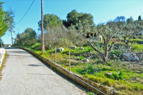 4160m² Land en Corfu, Greece No. 58934 7