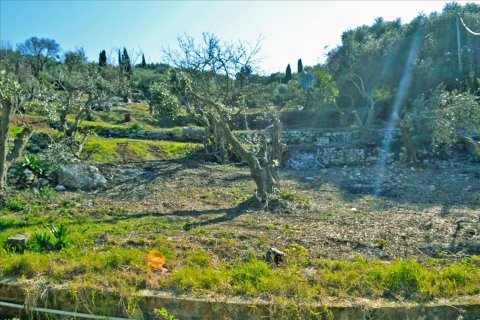 4160m² Land à Corfu, Greece No. 58934 6