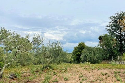 4470m² Land in Corfu, Greece No. 55855 1