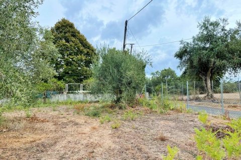 4470m² Land à Corfu, Greece No. 55855 2