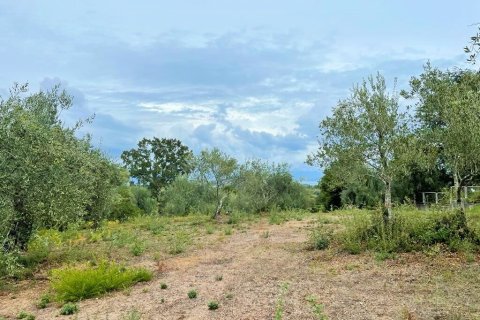 4470m² Land en Corfu, Greece No. 55855 4