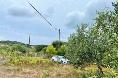 4470m² Land in Corfu, Greece No. 55855 3