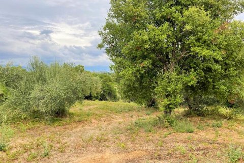 4470m² Land in Corfu, Greece No. 55855 6