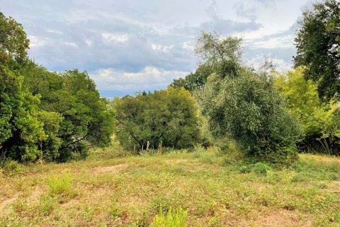 4470m² Land en Corfu, Greece No. 55855 7