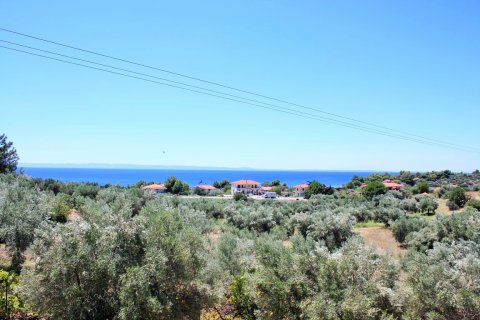 4000m² Land in Chalkidiki, Greece No. 58569 1