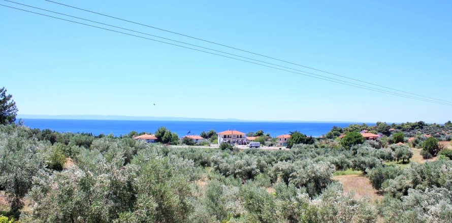 4000m² Land à Chalkidiki, Greece No. 58569