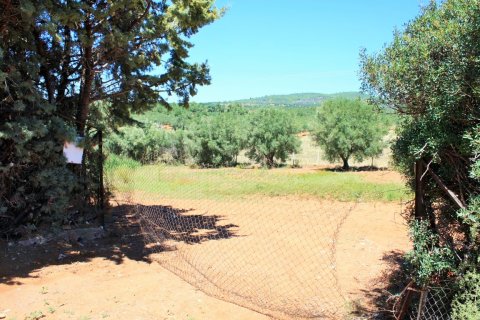 4000m² Land en Chalkidiki, Greece No. 58569 9