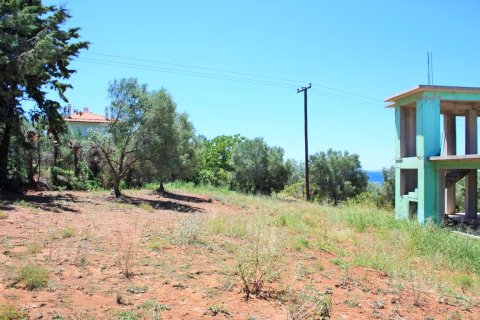 4000m² Land in Chalkidiki, Greece No. 58569 6