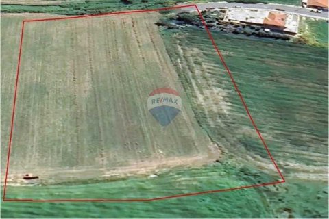 10034m² Land en Pyla, Cyprus No. 72629 7