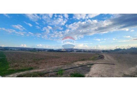 10034m² Land en Pyla, Cyprus No. 72629 2