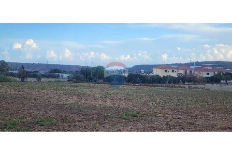 10034m² Land en Pyla, Cyprus No. 72629 10