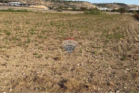 10034m² Land en Pyla, Cyprus No. 72629 14