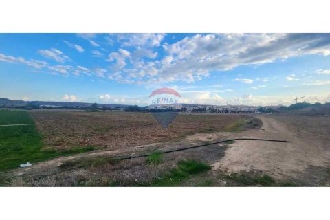 10034m² Land en Pyla, Cyprus No. 72629 3