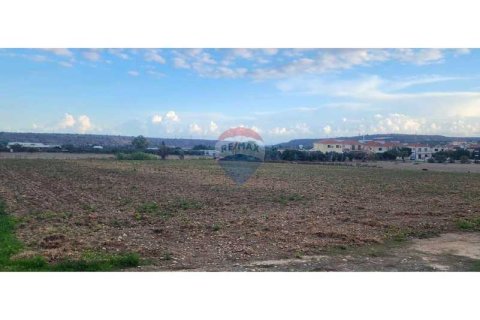 10034m² Land en Pyla, Cyprus No. 72629 4