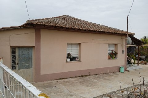 2 chambres House à Oraiokastro, Greece No. 55763 2