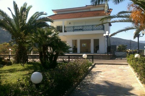 450m² Villa à Euboea, Greece No. 55767 2